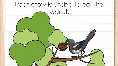 Brain Test Level 171 poor crow is unable to eat the walnut