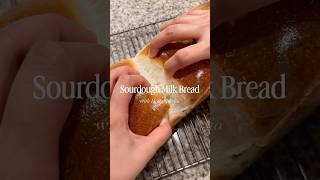 Sourdough Shokupan (Japanese Milk Bread) | Soft Fluffy Loaf Using My Starter Doughphelia (No Yeast)