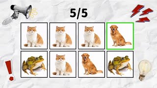 Say the Word on Beat 🐸🐱🐶 | Frog Cat Dog Challenge (3 Levels!)#beatgame#rhythmchallenge#saytheword# screenshot 5