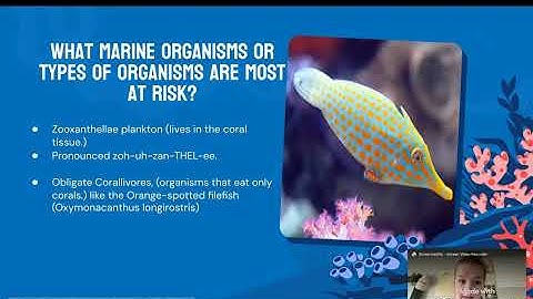 Entire Screen - Screencastify - December 14, 2025 4:17 PM