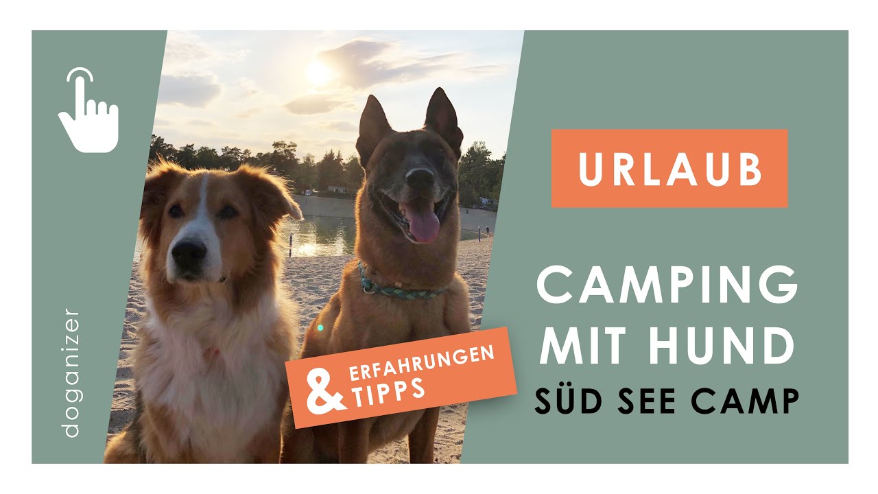 Urlaub mit Hund im Sd See Camp | Camping mit Hund | Lneburger Heide