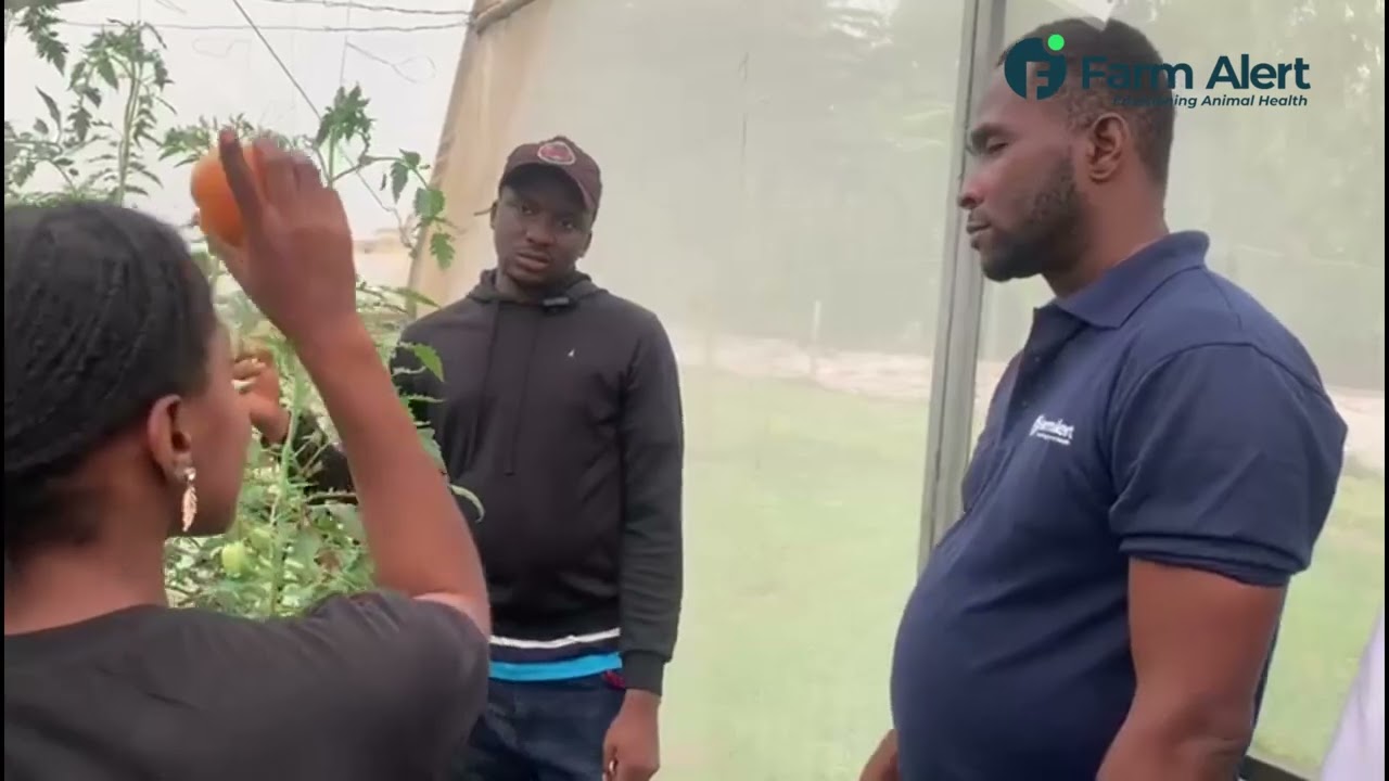 VISITATION TO ALMAT FARM; Part 1 (The Green House)