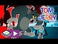 The Tom and Jerry Show | Tom Vs. Tom (This Isn