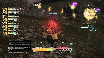 FINAL FANTASY XIV: A Realm Reborn- Chocobo Racing
