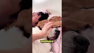 Bu Kadar Rahatlık Fazla