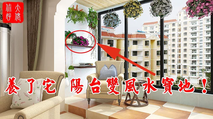 【植物风水】2020年阳台养这11种花，家里变风水财运宝地，顺风顺水！ - 天天要闻