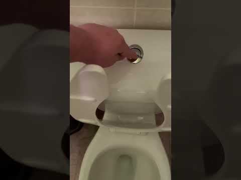 2010s Unknown Dual Flush Toilet at Rice & Noodles 3315 W Court Street