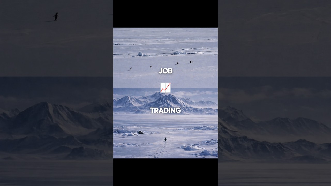 One Penguin, One Bold Decision | Trading vs Job 