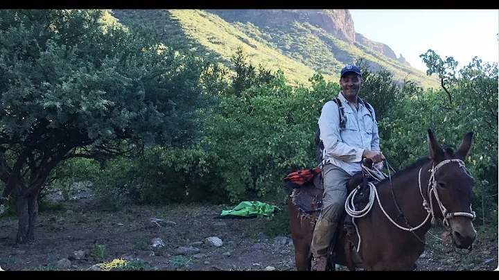 Plant Rediscoveries in Baja California and Discove...