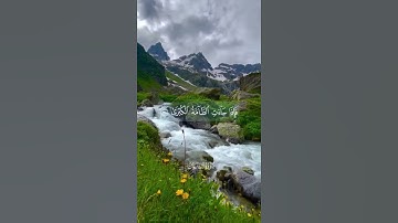 تلاوه هادئة تريح الأعصاب 🎧😴