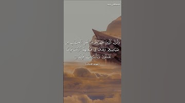 آيات بينات من سورة الأحزاب للقارئ مصطفى جيد #قرآن #islamicvideo #quran #islamicscripture #religion