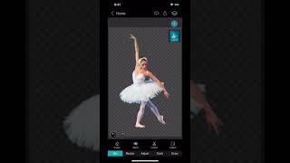 How Create photo reflection using PhotoLeaf Photo Editor screenshot 4