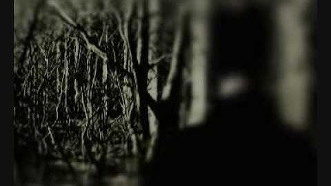 The Fuzzy Nerds - 117 (Official Video)