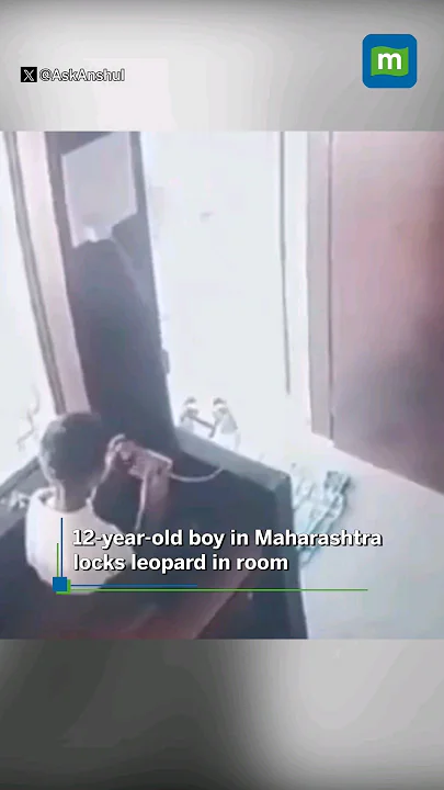 12-year-old boy in Maharashtra locks leopard in room. Watch. #leopard #viral #shorts