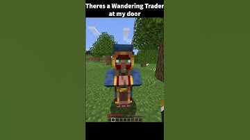 When the Wandering Trader has bad trades
