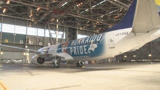 日ハム応援ジェットが登場 スカイマークに19日から