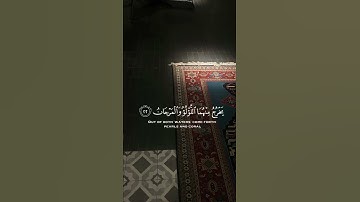 سورة الرحمن {الآية 19} بصوت الشيخ سعد الغامدي ❤️💖