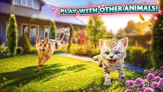 Cat Simulator 2 Swift Apps Gameplay screenshot 1