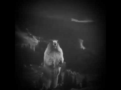 الگرطه غرير العسل