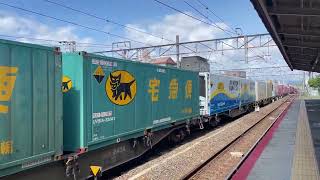 【日本最長の貨物列車！】EF210-324+補機EF210-302 2070レ 2024/07/07
