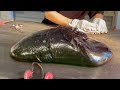 超巨大な黒い塊から可愛い猫ちゃんの飴になるまで！プロが作る最高の飴細工！｜Japanese Street Food｜일본 길거리 음식