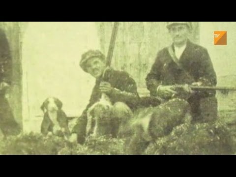 Видео: Колко ловни кучета имаше Артемида?