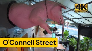 4K Oconnell Street North Adelaide Virtual Ambient Walk Ryan Pix Walks