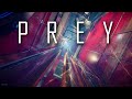 Prey  nightmare survival rollthrough  06  guts  4k