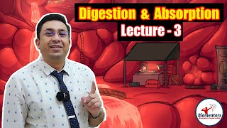 Digestion & Absorption l Lecture 3 l Biology l NEET screenshot 4