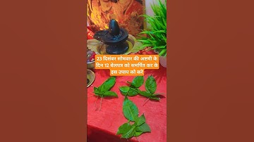 23 दिसंबर सोमवार की अष्टमी के दिन 12 बेलपत्र को समर्पित कर के इस उपाय को करे#ytshorts #shorts #upay