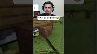 What Da Dog Doin - Hxsain