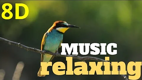 🎧8D-Music RELAXING  nature sound birds-meditation,calm,peace audio 8D