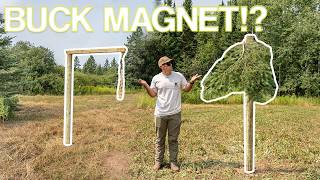 How to Build a Treecoy | Put Bucks EXACTLY Where You Want Them