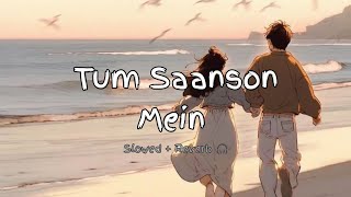 Tum Saanson Mein ( Humko Deewana Kar Gaye ) Slowed   Reverb Song | Himesh Reshammiya