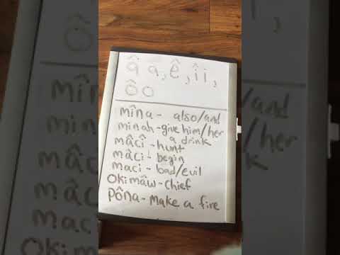 Cree lesson:long and short vowels in SRO (standard roman orthography)