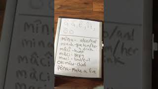 Cree lesson:long and short vowels in SRO (standard roman orthography)