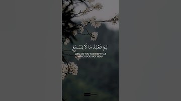 وذكر في كتاب إبراهيم _ مؤيد المزين الشاشة السوداء سورة مريم #quran