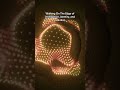 Intelligence, Identity, and Evolution Together.