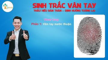 Sức mạnh của Nước| Đặc Điểm Dấu Vân Tay ULNAR LOOP (Phần 1)