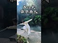 衡山派 _回风落雁剑十三式_ 第五式.沉鱼落雁.第六式.雁字南天. 第七式.雁阵惊寒.第八式.凫居雁聚. #Promote Chinese martial arts#The Bai