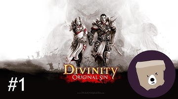 Mr. Ragequin (Divinity: Original Sin - Enhanced Edition - Part 1)