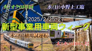 【GV-E197系】新型事業用車両を追った1週間【E493系】