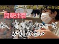 【産後鬱/育児ノイローゼ】重度自閉症を育てる姉妹で本音すぎる話をしてみた【閲覧注意/障がい児育児】