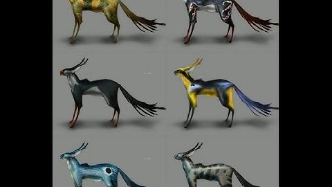 Warframe Update 19.0 Player Owned Kavats; Mirror and Cheshire, New Abilites