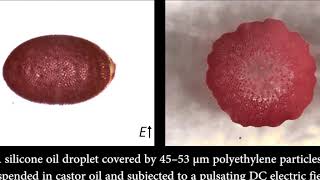 Wrinkling Of Particle Films - Pickering Emulsion Droplet