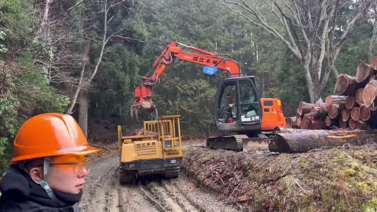 キコリの一週間ルーティン