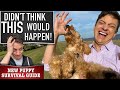 This is How You Punish a Dog. Real World Dog Training For Real Dogs! This is legit!!! (NPSG Ep 17)