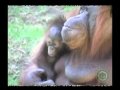 Selva Tropical en el Zoológico Guadalajara