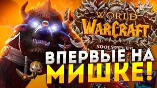 Мишка - Топ Танк для Новичков ● WoW Sirus ● Открытие Каражана и ГМ на Soulseeker ● World of Warcraft