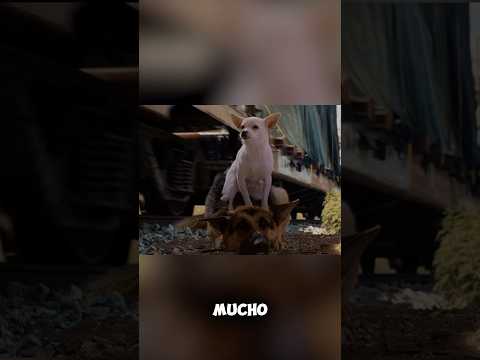 Ambos se han alejado de su hogar. #corto #anime #pelicula #resumen